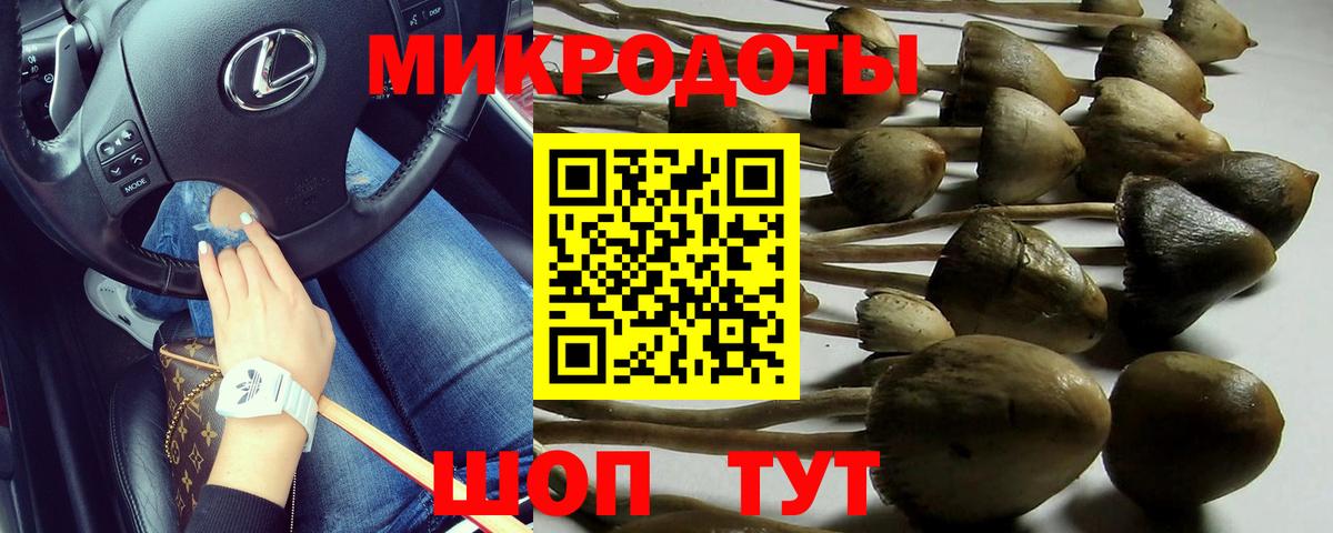 Галлюциногенные грибы Psilocybine cubensis  Вход с VPN  Бугуруслан  Галлюциногенные грибы GOLDEN TEACHER 