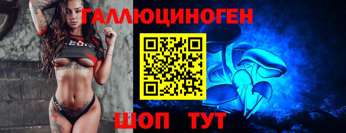 Псилоцибиновые грибы Psilocybe Бугуруслан